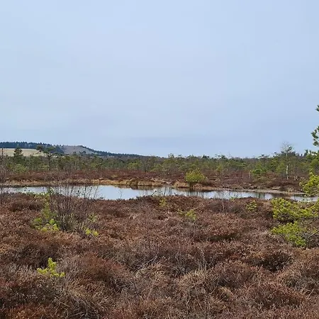 Rotmilanblick Daire *