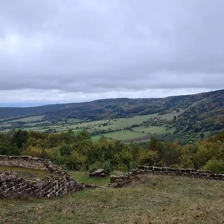 Rotmilanblick Bischofsheim an der Rhön